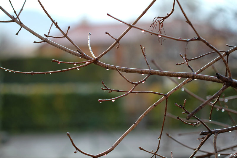 après la pluie