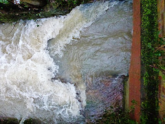 eye floods, march 2013