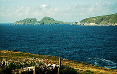 Skellig Bay