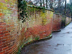 crinckle cranckle, eye, suffolk