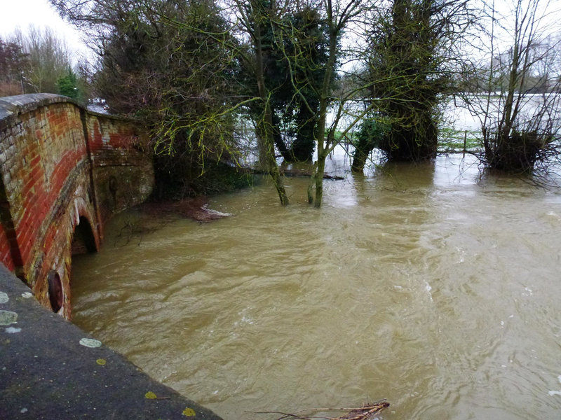 eye floods, march 2013