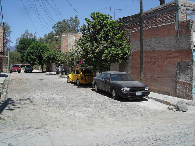 Tequila, Jalisco. Mexico / 23 mars 2011