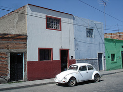 Tequila, Jalisco. Mexico / 23 mars 2011