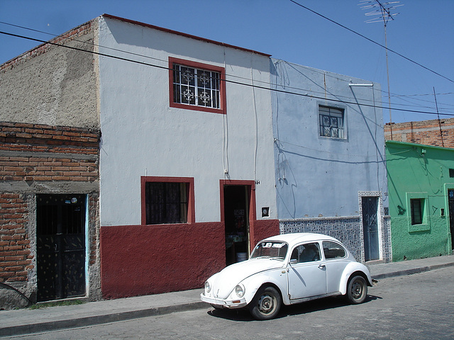 Tequila, Jalisco. Mexico / 23 mars 2011