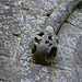 corfe castle