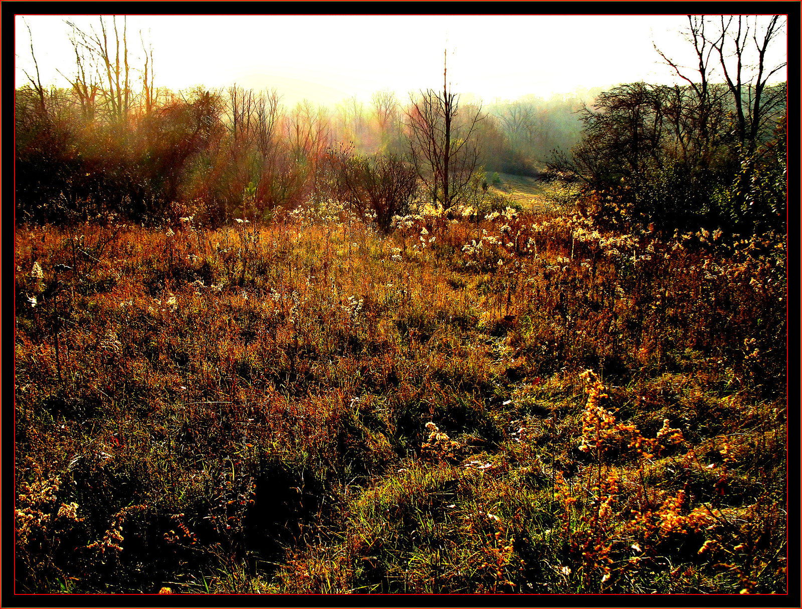 Autumn Chorus