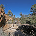 Death Valley National Park - Phinney Mine (9601)