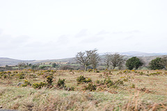 Dartmoor