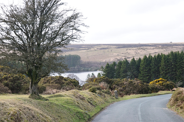 Dartmoor