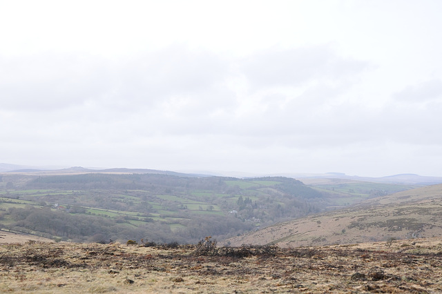 Dartmoor