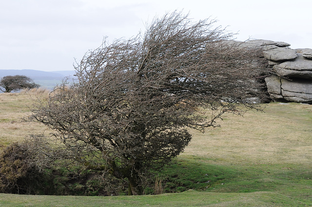 Dartmoor