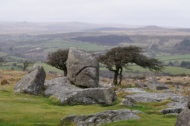 Dartmoor