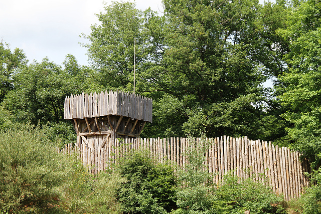 La motte  - Guédelon - 2011