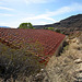 Scotty's Castle - Carriage House (9291)