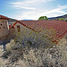 Scotty's Castle - Carriage House (9292)