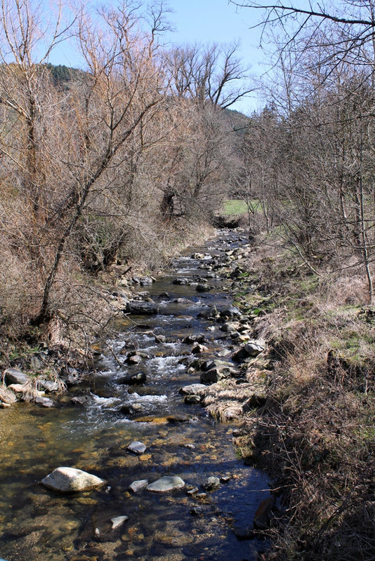 Amont d'un  torrent l'Holme vers la Loire