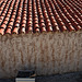 Scotty's Castle - Carriage House (9295)