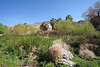 Scotty's Castle - Near The Carriage House (9276)