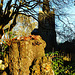 stoke newington old church, london