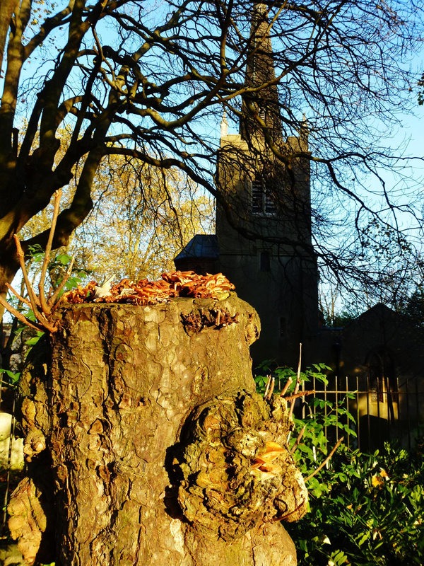stoke newington old church, london