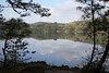 Coniston Water between the trees