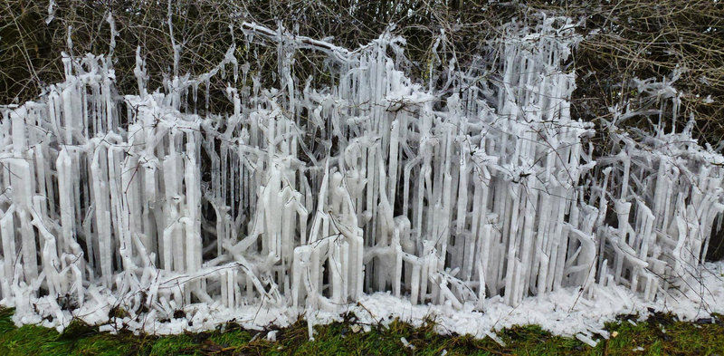 ice
