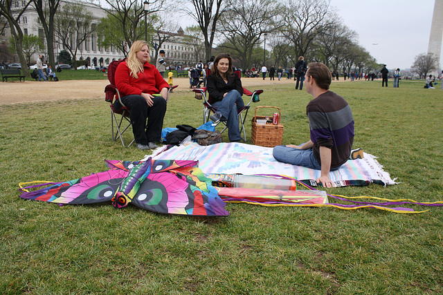 23.BlossomKiteFestival.NationalMall.WDC.10April2011