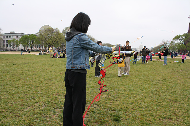 24.BlossomKiteFestival.NationalMall.WDC.10April2011