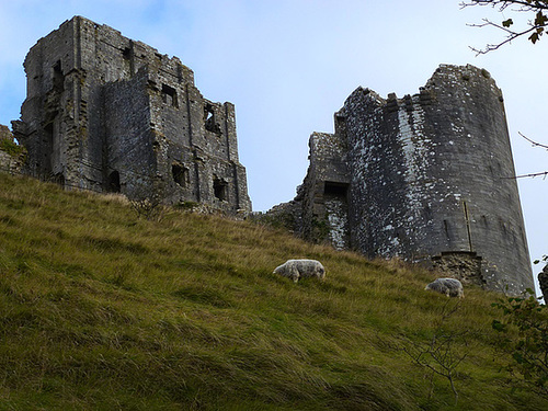 corfe castle