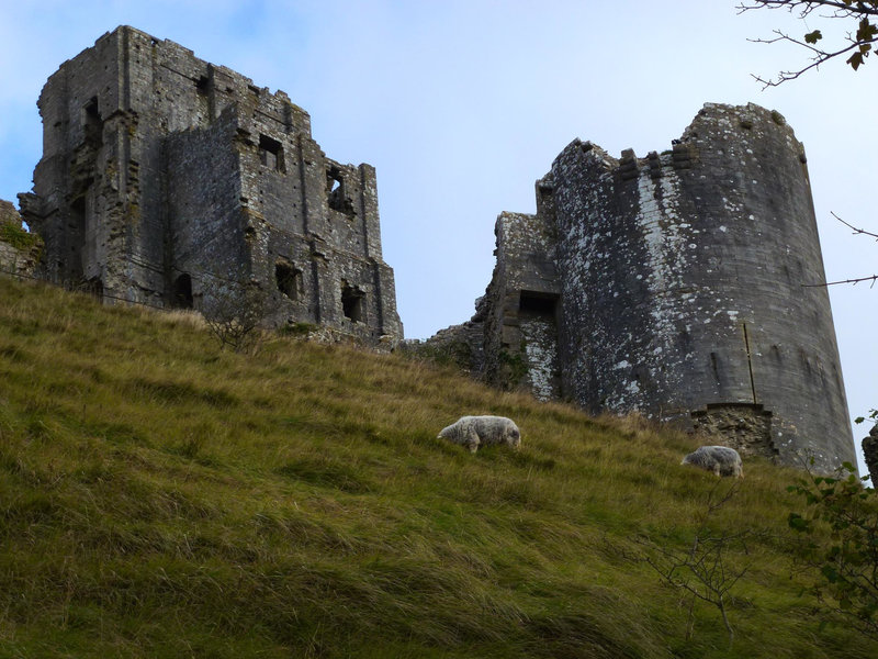 corfe castle