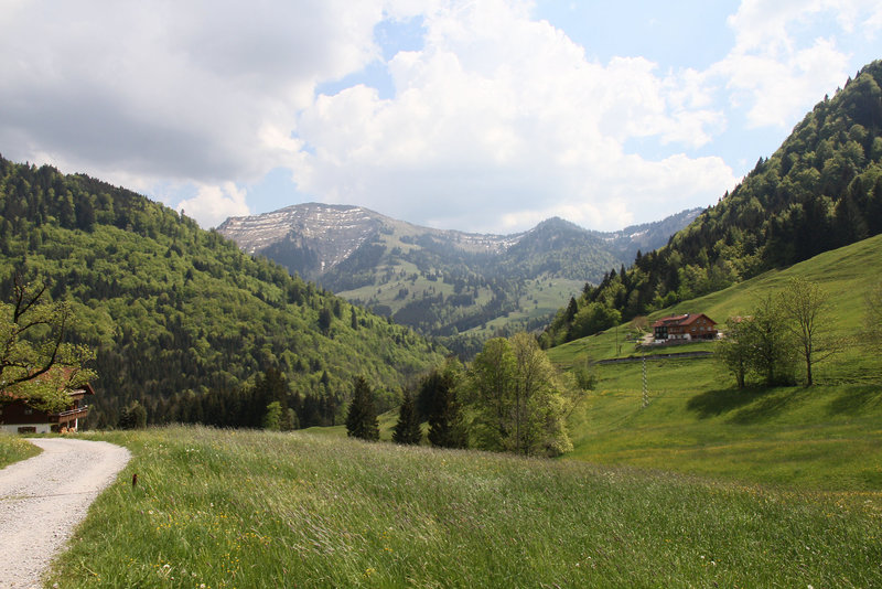 Blick auf den Hochgrat