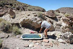 Marble Tub (0223)