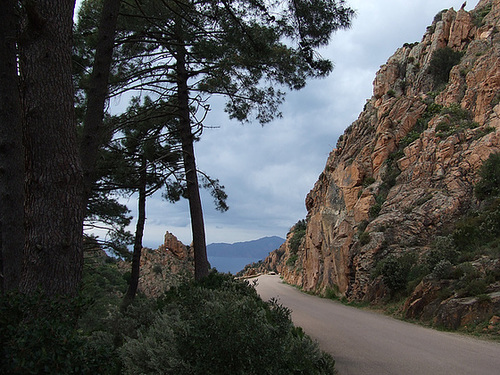 DSCF3422