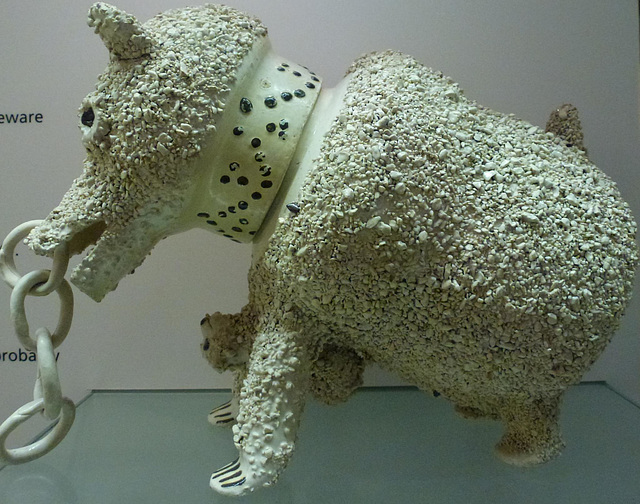 bear, norwich castle museum