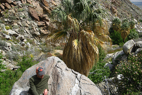 Above Maidenhair Falls in Anza-Borrego (1653)