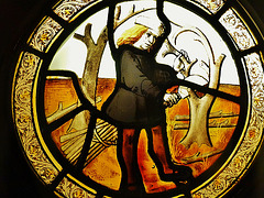 pruning roundel, norwich museum