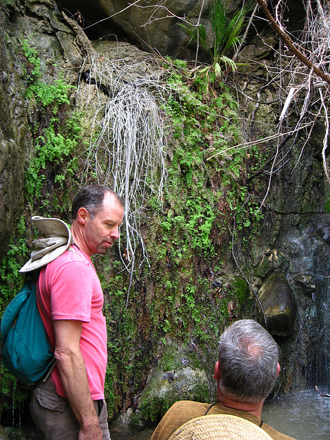 Kirk at Maidenhair Falls in Anza-Borrego (1645)