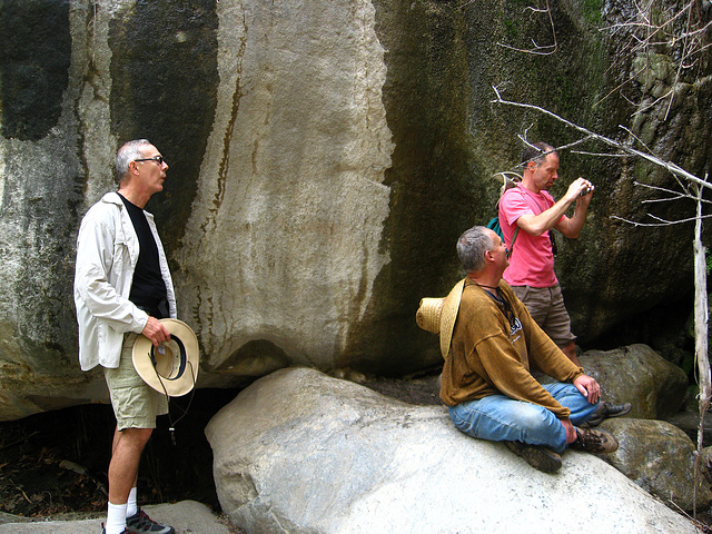 Maidenhair Falls in Anza-Borrego (1646)