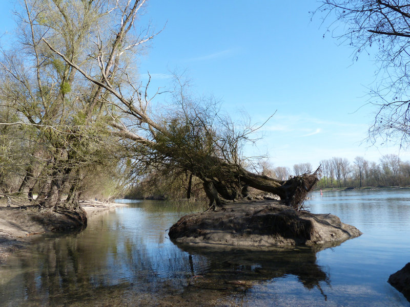 Neckarau/Rheinaue