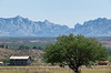 San Pedro Valley & Dragoon Mountains