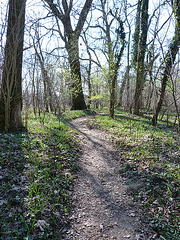 Neckarau/Waldpark