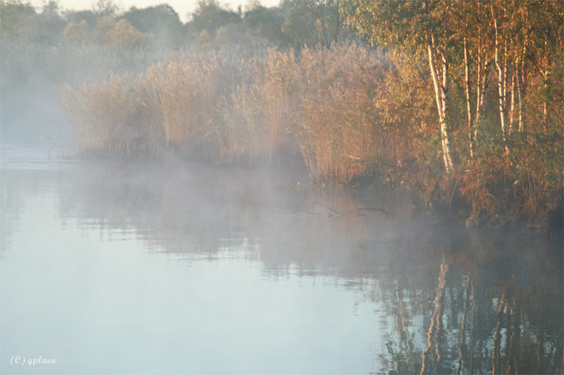 Herbstspiegelung 2