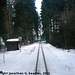 JHMD Linka 228 in the Snow, Picture 3, Edited Version, Sudkuv Dul, Kraj Vysocina, Bohemia (CZ), 2011