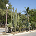 Puerto Escondido, Oaxaca. Mexique / 2 février 2011.