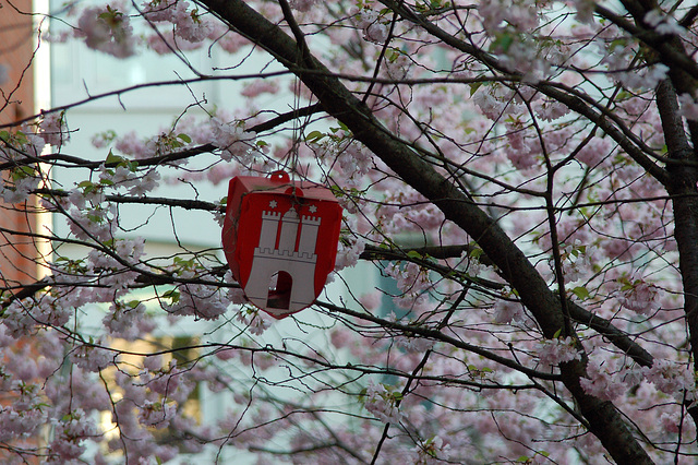 Hamburg im Frühling!