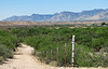 San Pedro Valley & Whetstone Mountains