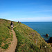 Chemin côtier - Ile d'Yeu