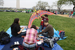 66.BlossomKiteFestival.NationalMall.WDC.10April2011