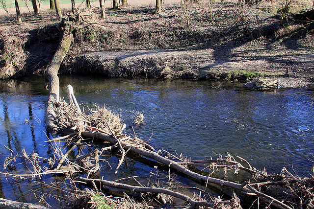 20110319 0432Aw [D~LIP] Wasserbremse, Werre, UWZ, Bad Salzuflen