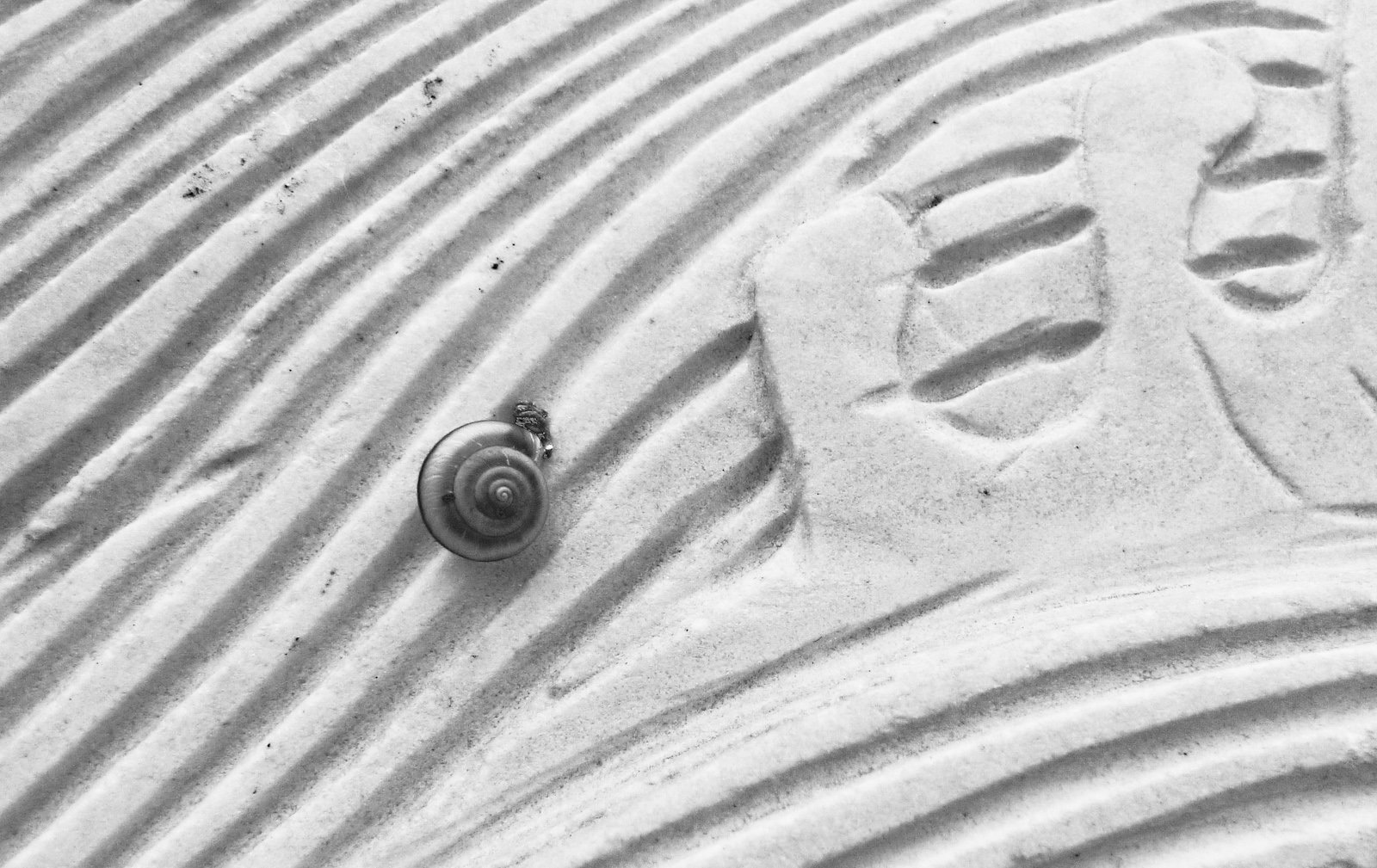 Lines and spiral
